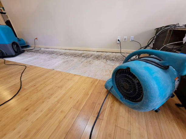 Professional Structural Drying technician working in Georgetown, TX